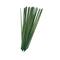 Ivory and Iris; 39" Dried Plant Sticks Natural Foliage With Slender Stems; Category:Dried Floral; Image:3